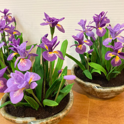 銀草子堂 藤井気楽 銀細工 蓮の葉と花 とんぼと鯉、亀 雛道具 ミニチュア ご依頼品樹脂粘土製ミニチュア盆栽〈金木犀〉 盆栽 AB-Hachi