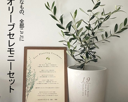 送料無料 結婚証明書 ゲスト参加型 オリーブ 記念樹 ウェディング