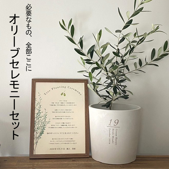 送料無料 結婚証明書 ゲスト参加型 オリーブ 記念樹 ウェディング