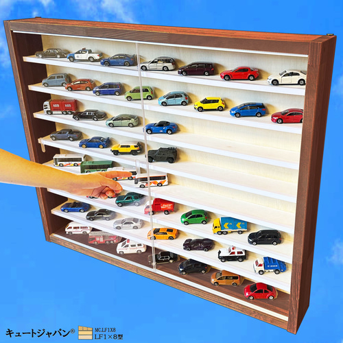 お猪口 マホガニ色全塗装 コレクションケース 48マス 収納 アクリル