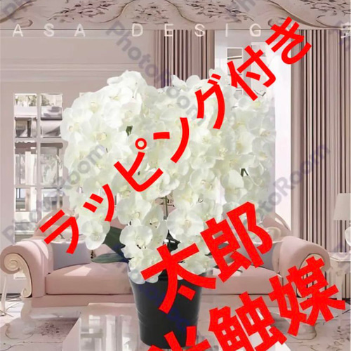 光触媒 人工観葉植物 フェイクグリーン プレミアム胡蝶蘭7本立W