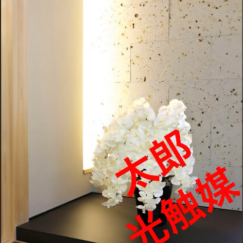 光触媒　人工観葉植物　フェイクグリーン　プレミアム胡蝶蘭7本立W 光触媒 人工観葉植物 フェイクグリーン プレミアム胡蝶蘭7本立W