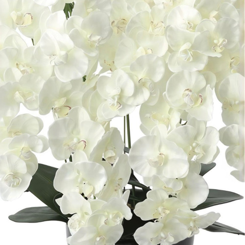 光触媒　人工観葉植物　フェイクグリーン　プレミアム胡蝶蘭7本立W 光触媒 人工観葉植物 フェイクグリーン プレミアム胡蝶蘭7本立W