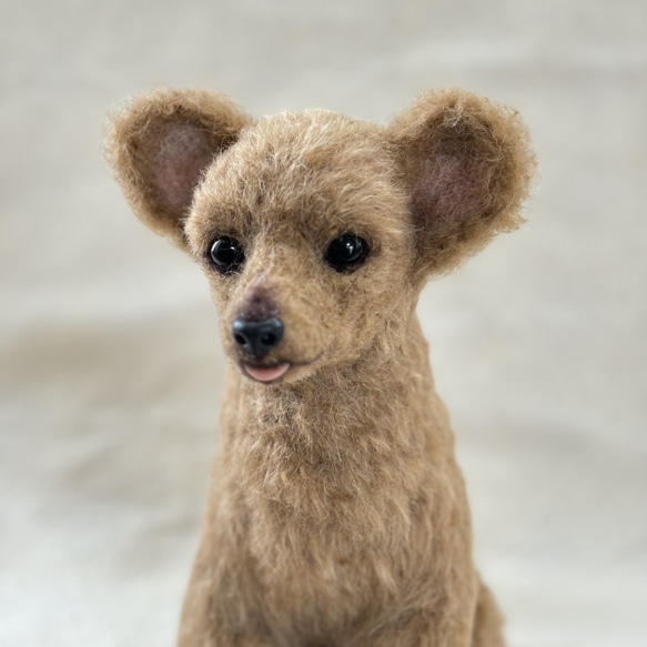 羊毛フェルト【オーダーメイド】うちの子オーダー✴︎犬✴︎愛犬✴︎ペット✴︎ハンドメイド✴︎ペットロスペットロス 25センチ　