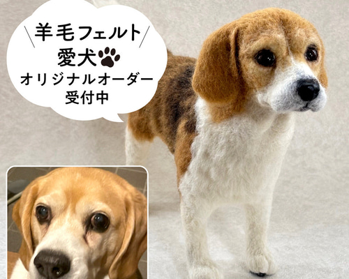 断捨離ママ様　うちの子オーダー　羊毛フェルト うちの子オーダー 羊毛フェルト | iichi 日々の暮らしを心地よく