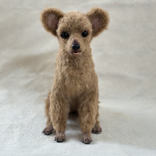 羊毛フェルト【オーダーメイド】うちの子オーダー✴︎犬✴︎愛犬