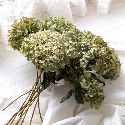 割れない・欠けない丈夫な花瓶付き！アンティーク紫陽花アナベルの