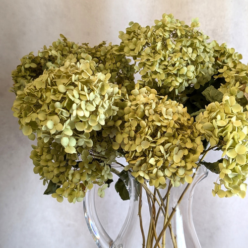 割れない・欠けない丈夫な花瓶付き！アンティーク紫陽花アナベルの