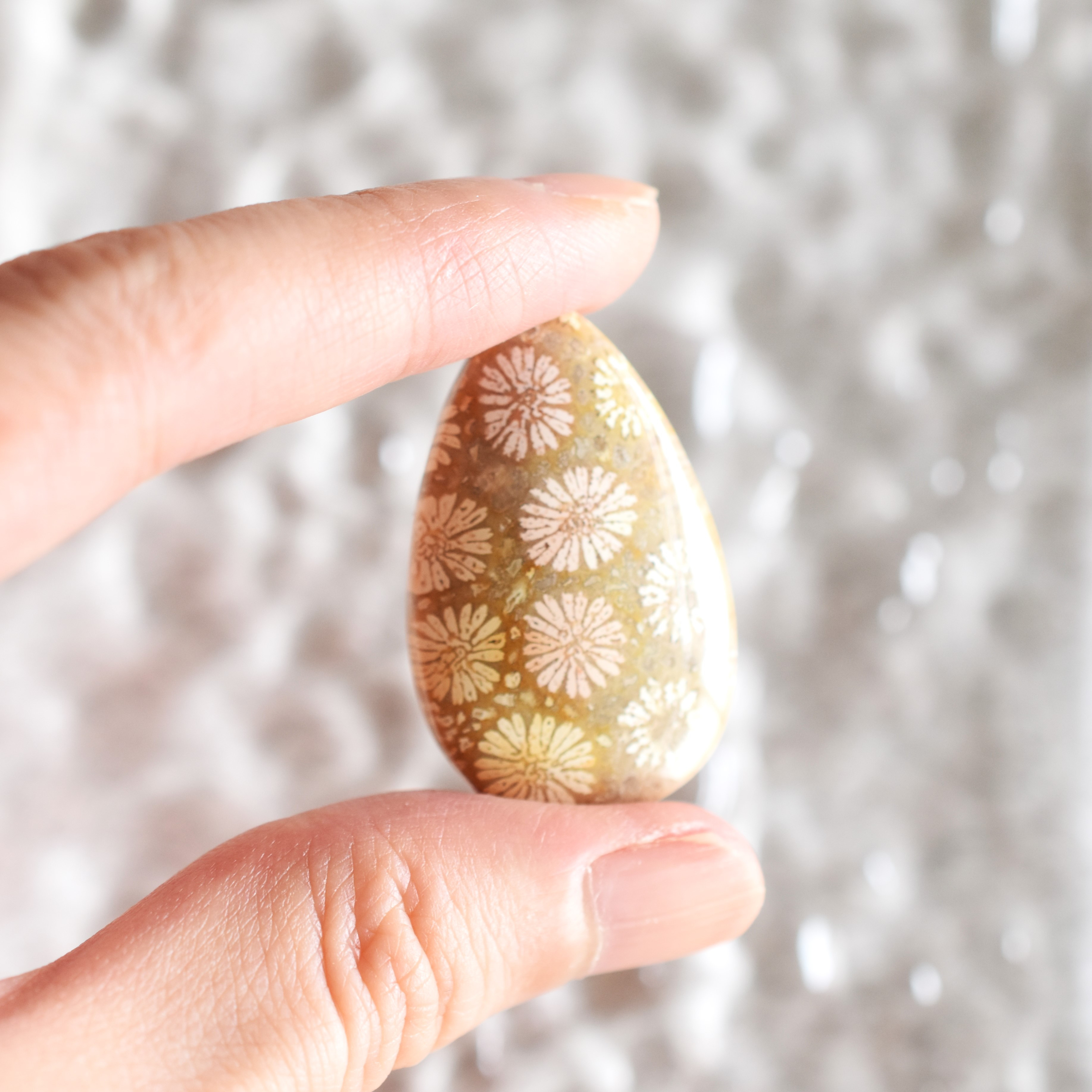 【1点もの・A】可愛い花柄　希少！　モロッコ産　大粒　フォシルコーラル　ルース