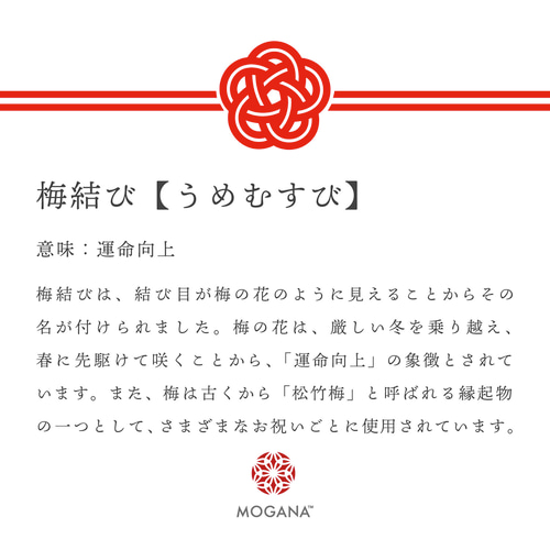 水引】菜の花結びをやってみた／【Mizuhiki】Nanahana Knot