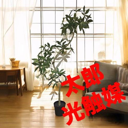 光触媒 人工観葉植物 ウォールグリーン フェイクグリーン パキラ 光触媒 人工観葉植物 ウォールグリーン フェイクグリーン パキラ