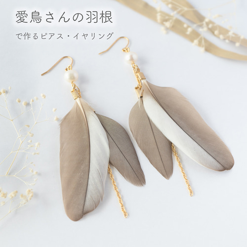 gold - 淡水パールと2枚の羽根のピアス・イヤリング（愛鳥さんの羽根 