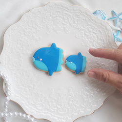 【誕生日　記念日に】人魚姫と海の仲間たち　アイシングクッキーセット 8枚目の画像