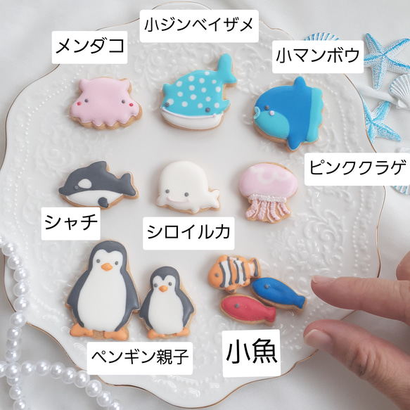 【誕生日　記念日に】人魚姫と海の仲間たち　アイシングクッキーセット 3枚目の画像