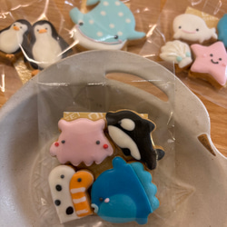 【誕生日　記念日に】人魚姫と海の仲間たち　アイシングクッキーセット 11枚目の画像