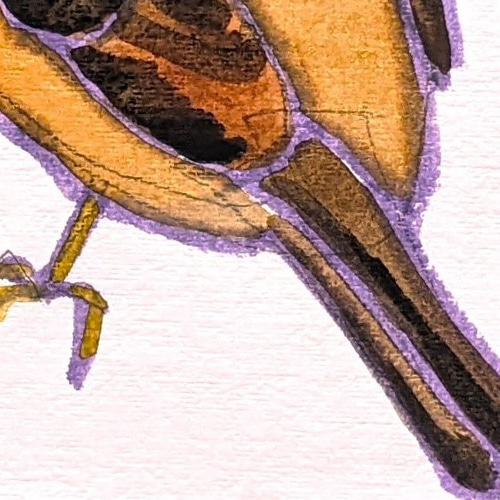 スズメ 水彩画原画 (SM) 絵画 yko 通販 18023765|Creema(クリーマ) スズメ 水彩画原画 (SM) 絵画 yko 通販 18023765|Creema(クリーマ)
