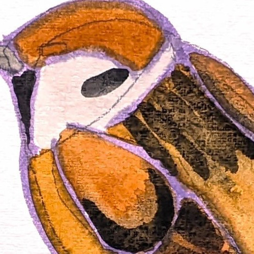 スズメ 水彩画原画 (SM) 絵画 yko 通販 18023765|Creema(クリーマ) スズメ 水彩画原画 (SM) 絵画 yko 通販 18023765|Creema(クリーマ)