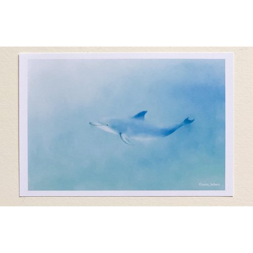 Ukus Togawa イルカ アート 23/100 Ukus Togawa イルカ アート 23/100