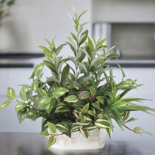 光触媒　人工観葉植物　ウォールグリーン　フェイクグリーン　寄せ植えオリーブ 光触媒 人工観葉植物 ウォールグリーン フェイクグリーン 寄せ植えオリーブ