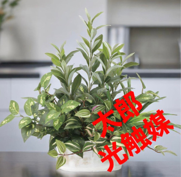 光触媒　人工観葉植物　ウォールグリーン　フェイクグリーン　寄せ植えオリーブ 光触媒 人工観葉植物 ウォールグリーン フェイクグリーン オリーブ1.2m
