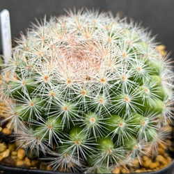 2f063d3cbc564b282258b28062cf98