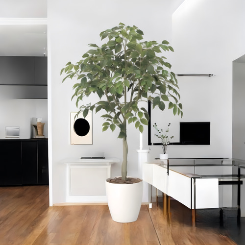 光触媒　人工観葉植物　ウォールグリーン　フェイクグリーン　フィカスツリー1.85 光触媒 人工観葉植物 ウォールグリーン フェイクグリーン フィカス