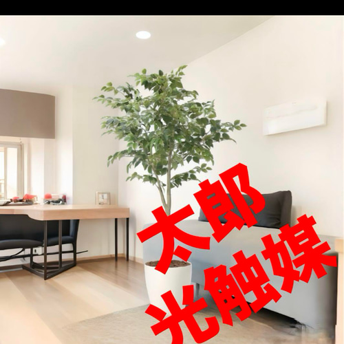 光触媒 人工観葉植物 ウォールグリーン フェイクグリーン フィカス