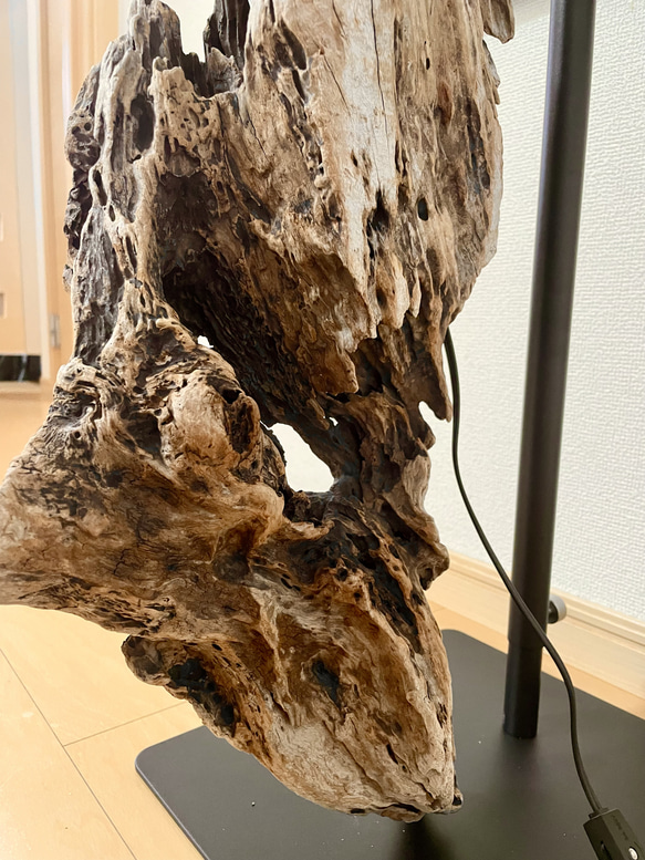 【流木インテリア】№1‗流木スタンドライト（縦・横置き） 最大