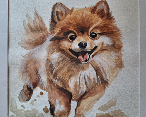 水彩画 ポメラニアン 絵画 makochin 通販 18025186｜Creema(クリーマ)