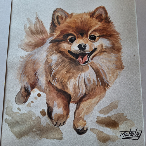 水彩画 ポメラニアン 絵画 makochin 通販 18025186｜Creema