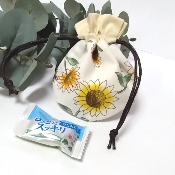  第5張的照片