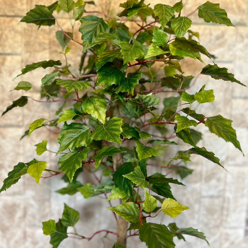 光触媒 人工観葉植物 ウォールグリーン フェイクグリーン 白樺 【公式