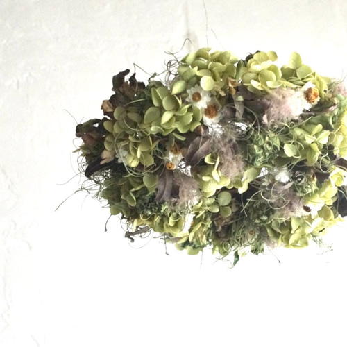 アナベルとスモークツリーのフライングリース 直径22cm ドライフラワー