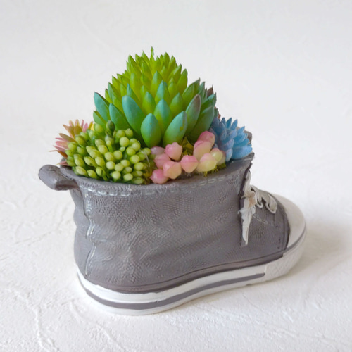 多肉（フェイク）植物寄せ植え スニーカー CT触媒加工 多肉植物 花職人