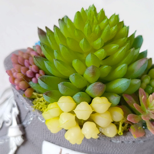 多肉（フェイク）植物寄せ植え スニーカー CT触媒加工 多肉植物 花職人