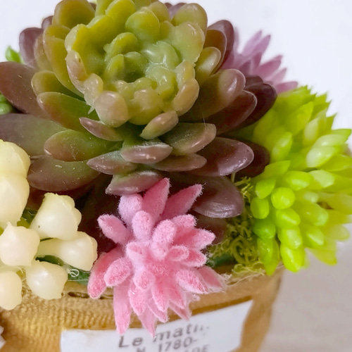 多肉（フェイク）植物寄せ植え スニーカー CT触媒加工 多肉植物