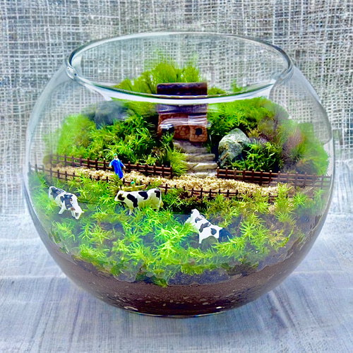 即完売作品】牧場風景の苔テラリウム12cm癒しジオラマ動物フィギュア