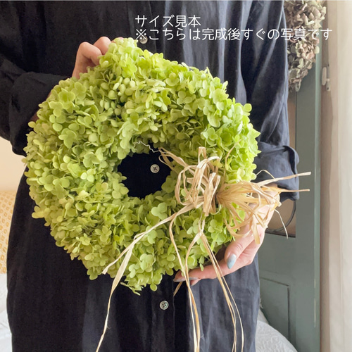 サマーセール】アナベルのドライフラワーリースM＊26センチ リース 