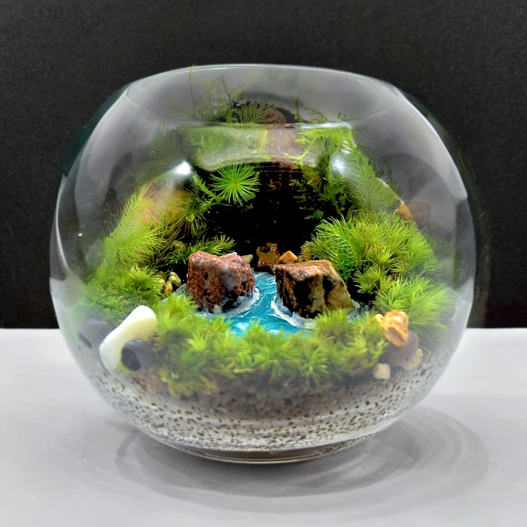 ［涼しげ＆大自然再現］水辺の苔テラリウム(シノブゴケ)12cm涼しげ大自然美しい神秘的癒し