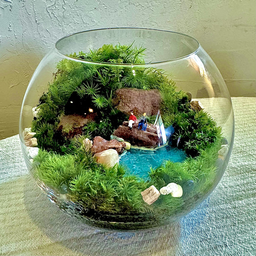 涼しげ＆大自然再現］水辺の苔テラリウム(シノブゴケ)12cm涼しげ大自然