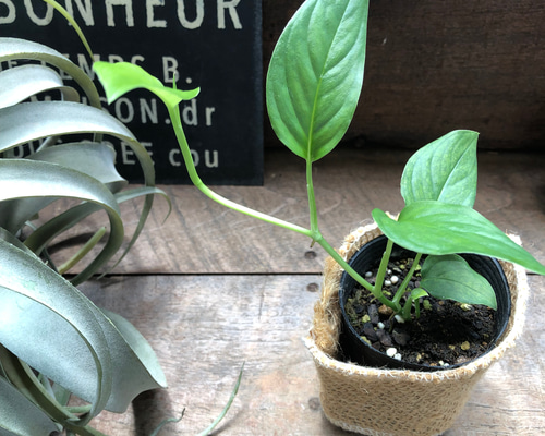 e89acdbb6b6fd03211b331f48b5d45