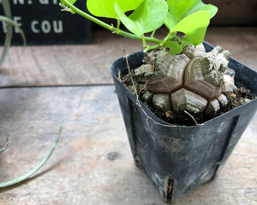 8231346c1c6140c48c4846fdf615a0