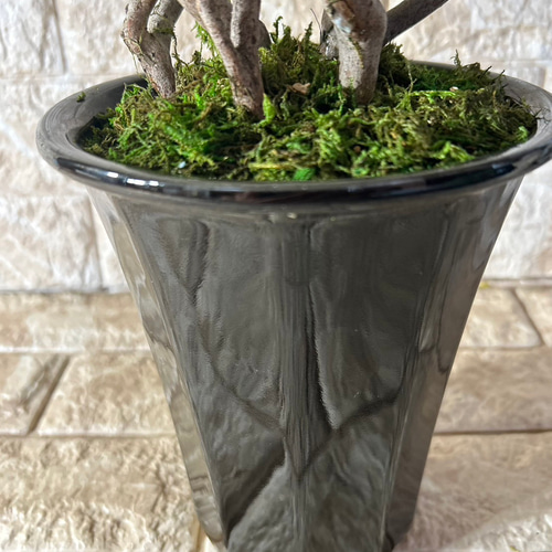 光触媒 人工観葉植物 ウォールグリーン フェイクグリーン