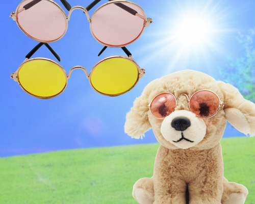 サングラス アクセサリー 夏 山 眼鏡 アイウェア ファッション