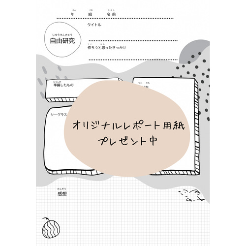 シーグラスで作るアートキット その他アート Kimonories＆Noiro