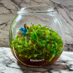 0beef1846da1690f833af87c0445e6