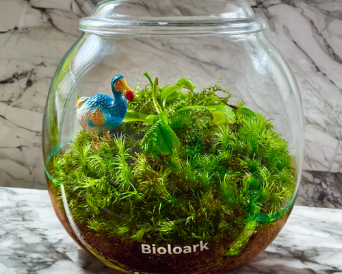 0beef1846da1690f833af87c0445e6