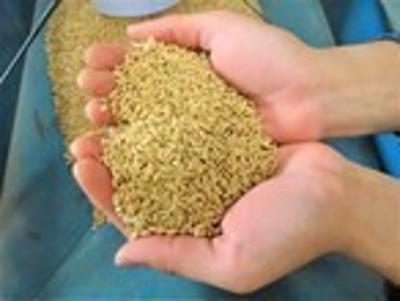 国産・手揚げ・黒米入りやみつき玄米おかき50ｇ×4袋【送料込み・メール便】 8枚目の画像