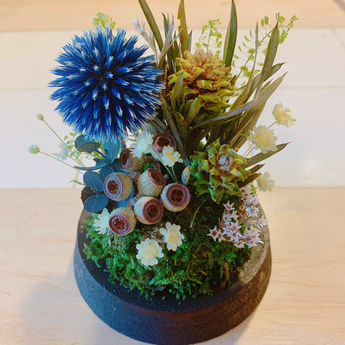 枯れない 苔テラリウム プリザーブドフラワー テラリウム HANA