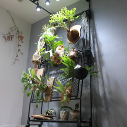 アイアン什器 鉄家具 アイアン家具 植物棚 アイアンスタンド展示台